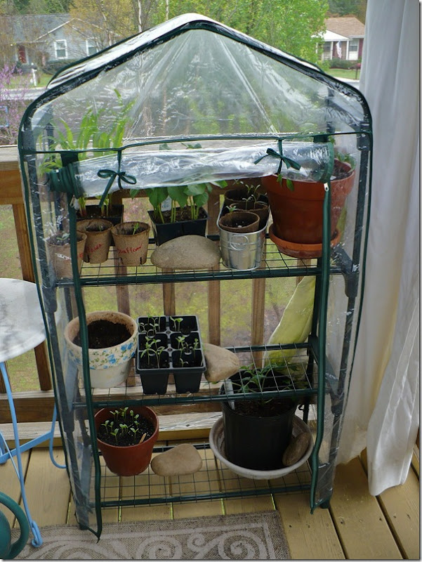 littlegreenhouse