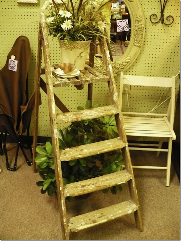 ladder ladder