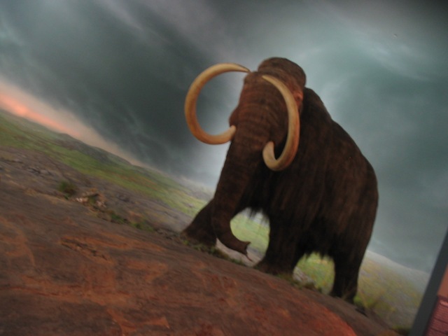 [IMG_51674.jpg]
