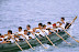 JYG-802007.jpg