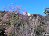 Ultra Trai Garrotxa 01-1113.JPG