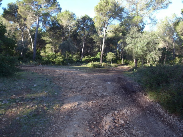 Foto de 03-CRUILLA