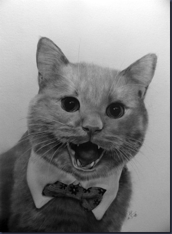 Friend__s_Cat_Mocha_by_paullung