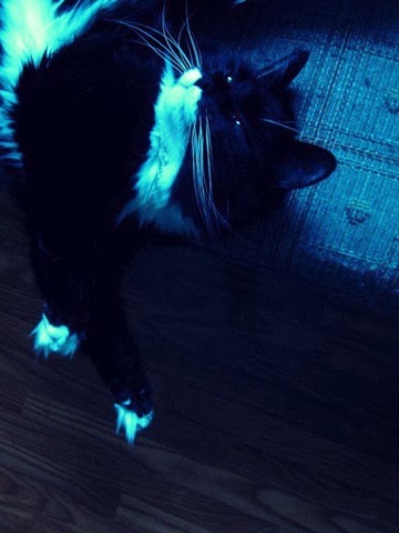 [135128_10150113296090971_730165970_8212045_2645218_o[6].jpg]