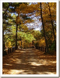 Walden Pond (Boston)