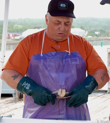 [scallop14.jpg]