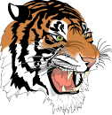 tiger tiger