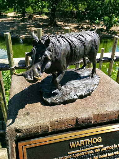 SCZ Bronze Warthog