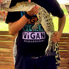 Saltwater Crocodile