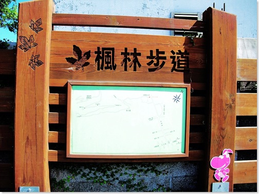 楓林步道4