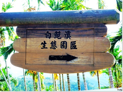 楓林步道15