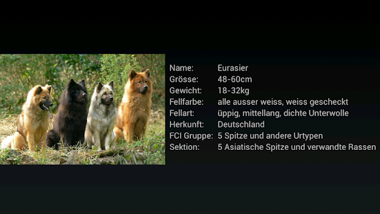 How to download FCI Hunderassen Karteikarten lastet apk for bluestacks