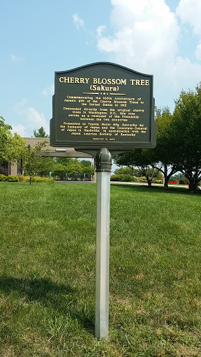 Cherry Blossom Plaque
