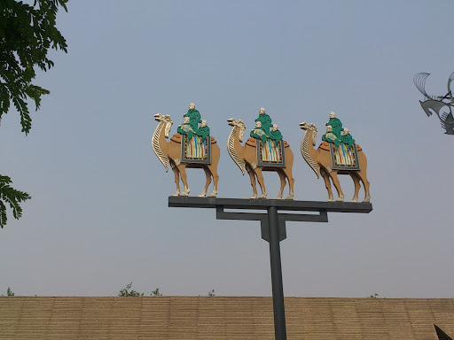 大明宫骆驼