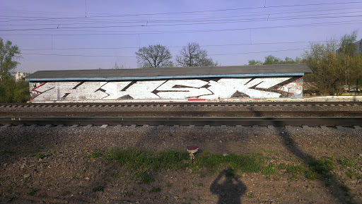 Butovo Train Station Graffiti
