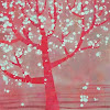 Blossom
