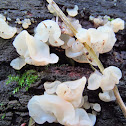 White Jelly