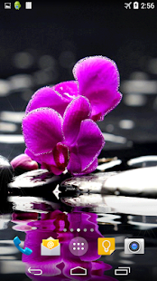 How to download Orchid Live Wallpaper 1.0 mod apk for android