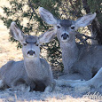 State Parks of Texas