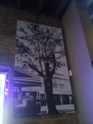 Monochrome Tree