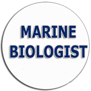 Marine Biology tops communications Marine Biology tops communications