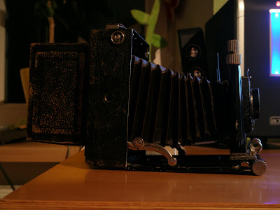 P4163883.JPG