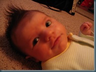 7-8 weeks033