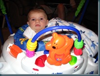 Jumperoo 6-24004