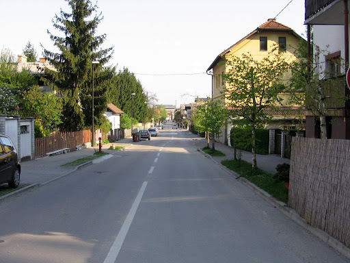 Rožna dolina