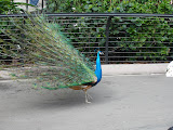 dsc00054.jpg