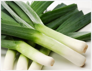 [leek[4].jpg]