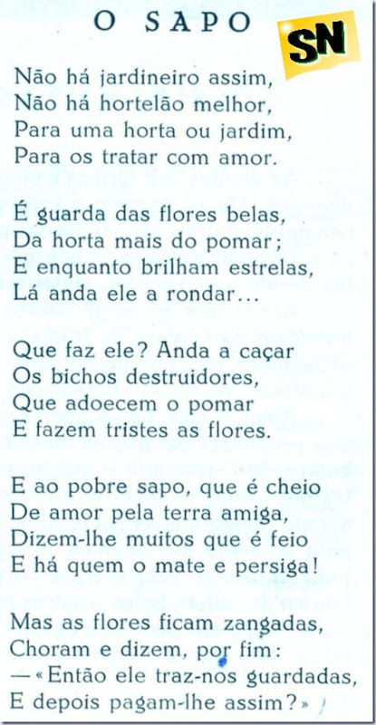 o sapo_santa nostalgia_texto