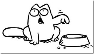 Le chat de Simon