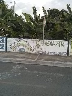 Herremundo Grafiti