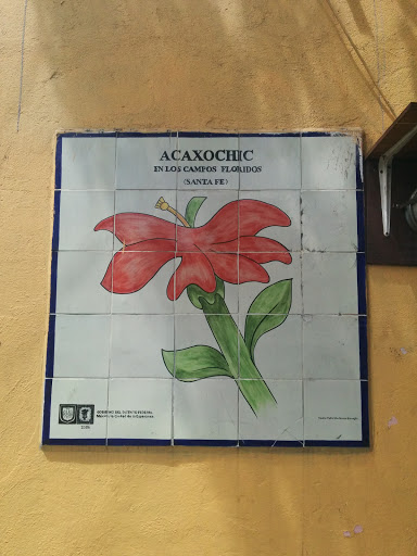 Mural Acaxochic