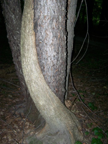 [100_33602.jpg]