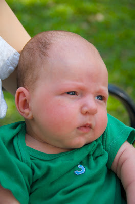 the look the look