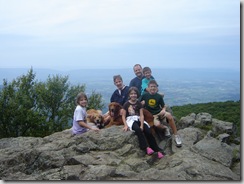 shenandoah 036