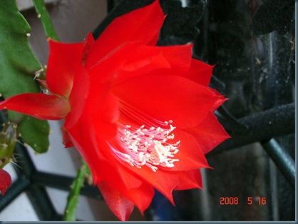 DSC00004
