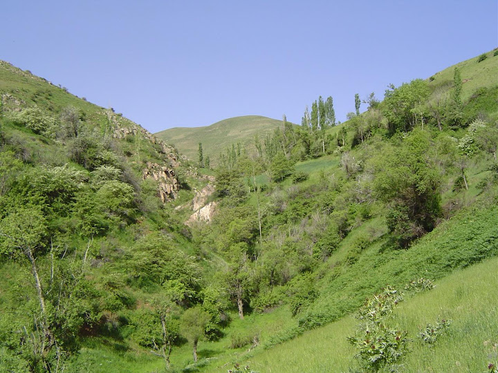 دره ای در شیزر