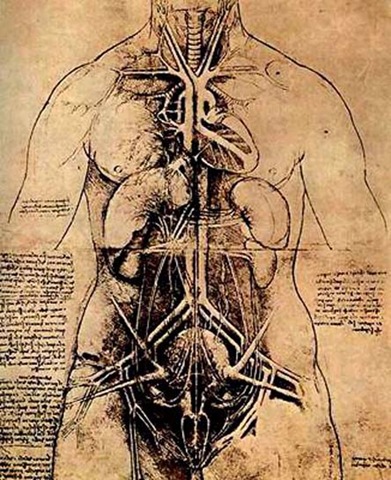 [anatomia[2].jpg]