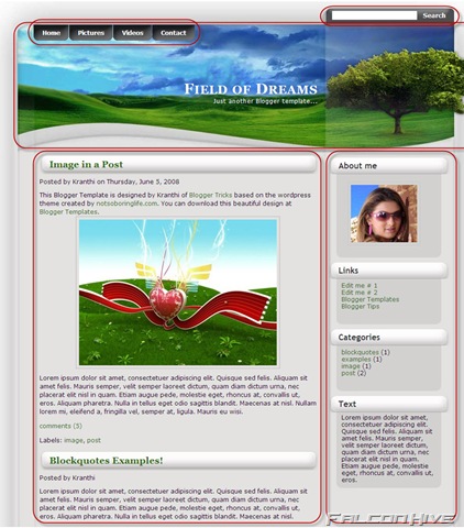 [Field of Dreams Template 1[14].jpg]