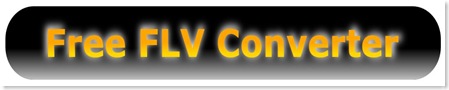 free flv converter