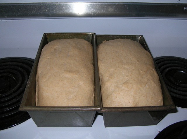 [DSCN07265.jpg]