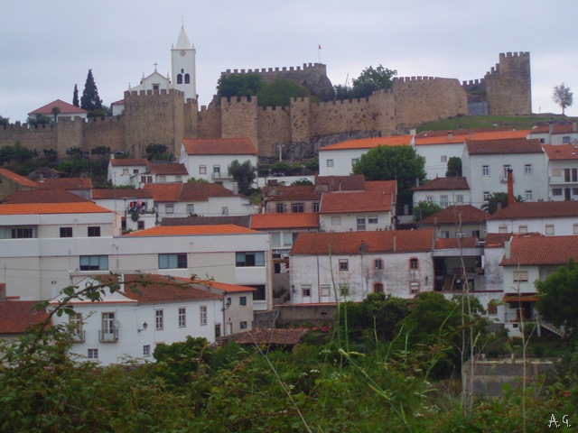 [P6240075[11].jpg]