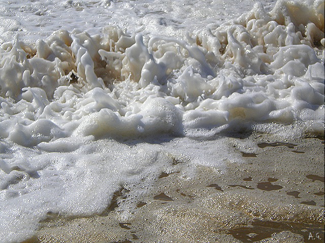 [P8180054[12].jpg]