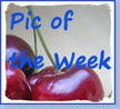 AA Pic of the Week