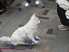 20080504_0103.JPG