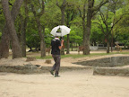 20080508_0248.JPG