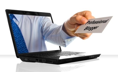 [professional-blogger[10].jpg]